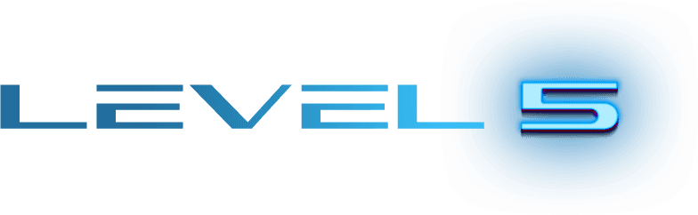 Level 5